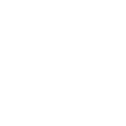 GME