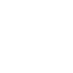 GME